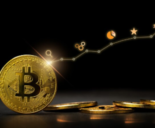 Bitcoin and Inflation
